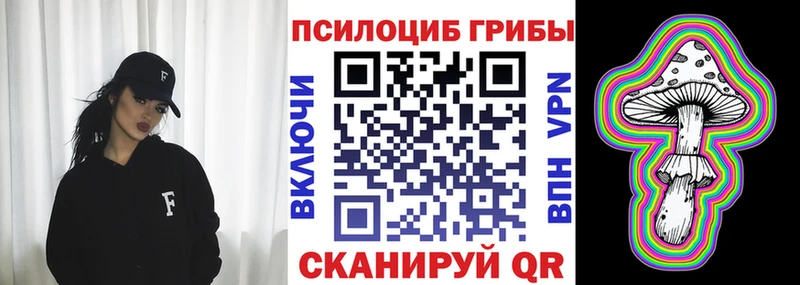 Галлюциногенные грибы Psilocybine cubensis  Купить закладки  Болотное 