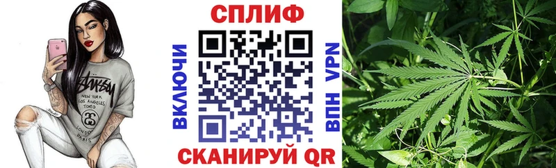 Купить где  Болотное  Шишки марихуана семена 